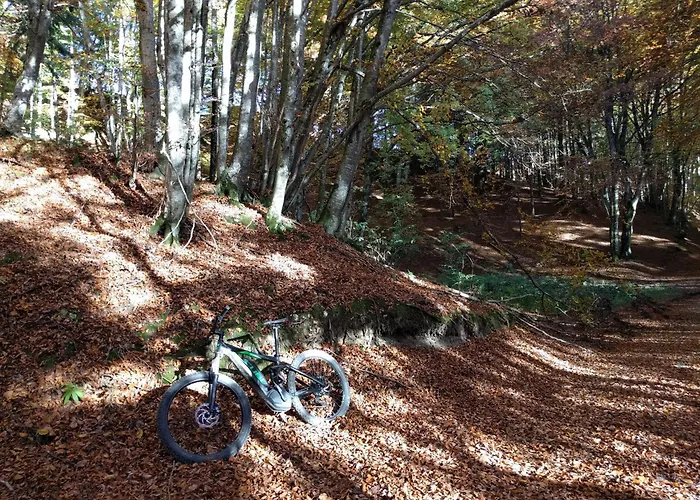 Appartement Dolomiti Experience Bike, Hike, Fly & Relax *