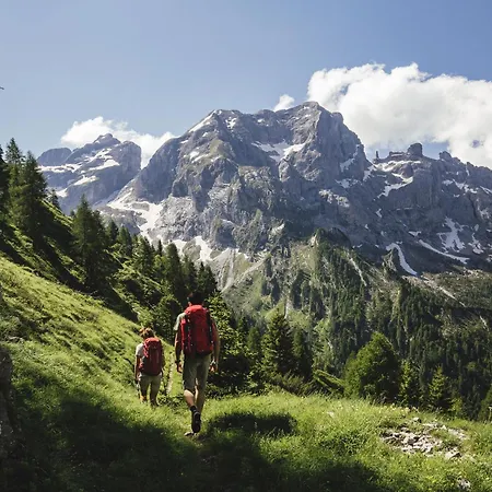 דירה Dolomiti Experience Bike, Hike, Fly & Relax