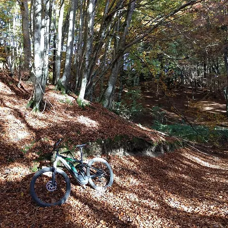 Lägenhet Dolomiti Experience Bike, Hike, Fly & Relax *
